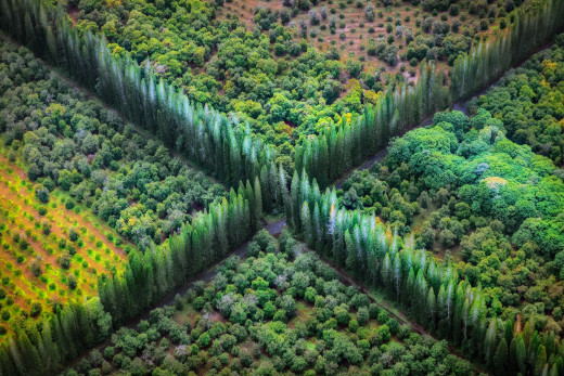 1349173 (a): :2880x1920